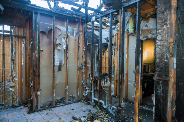 Professional Fire Damage Removal technician working in Woodstock, MD
